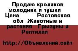 Продаю кроликов молодняк и тушки  › Цена ­ 200 - Ростовская обл. Животные и растения » Грызуны и Рептилии   